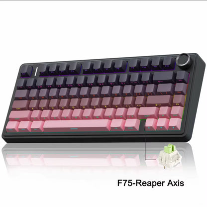 F75 2.4G Wireless/Bluetooth/Wired Gaming Mechanical Keyboard RGB Customized 75% Layout OEM Profile Gasket Structure