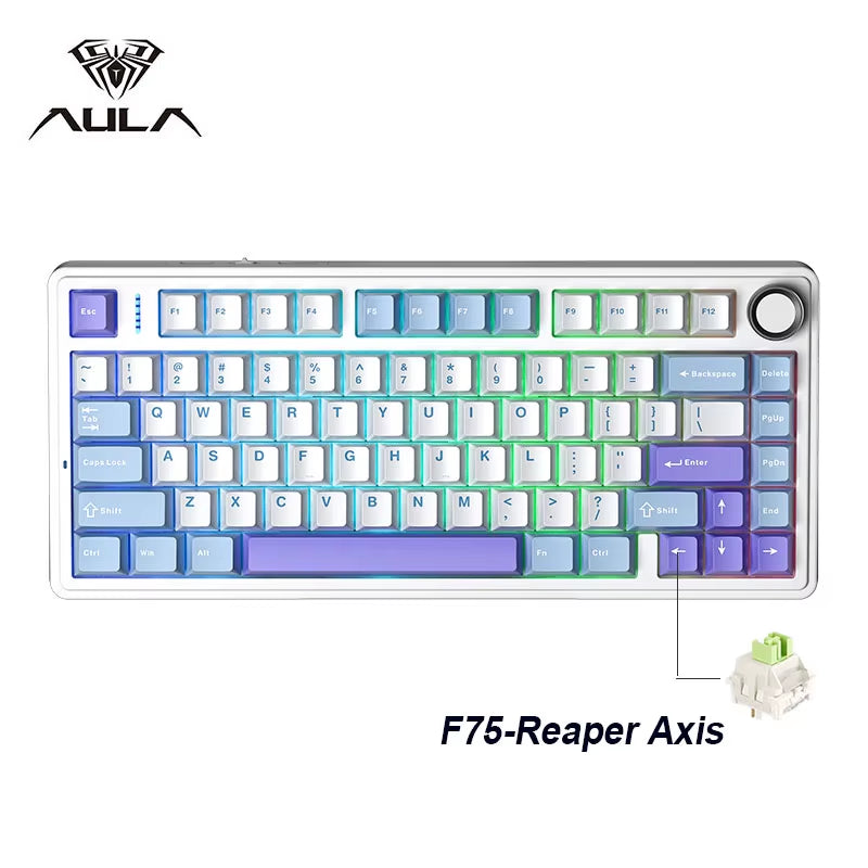 F75 2.4G Wireless/Bluetooth/Wired Gaming Mechanical Keyboard RGB Customized 75% Layout OEM Profile Gasket Structure